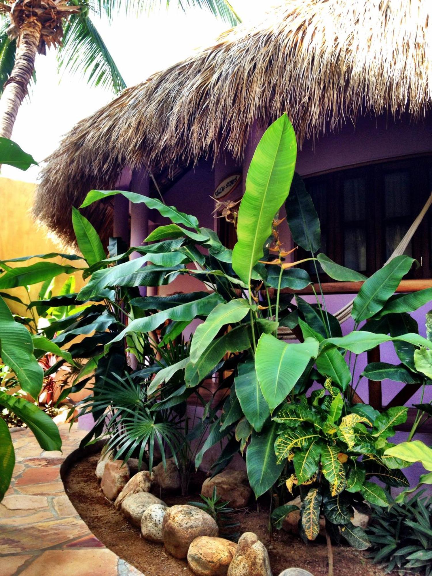 One Love Hostal Puerto Escondido Zimmer foto